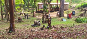 IMG-20250720-WA0022