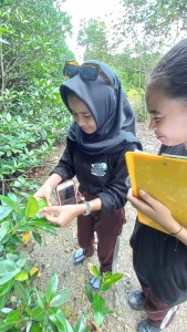 Field Trip Mangrove Batam