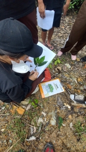 Field Trip Mangrove Batam