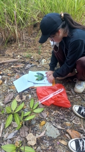 Field Trip Mangrove Batam