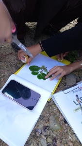 Field Trip Mangrove Batam