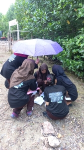 Field Trip Mangrove Batam