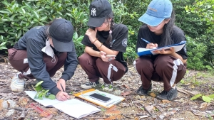 Field Trip Mangrove Batam