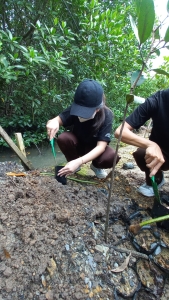 Field Trip Mangrove Batam