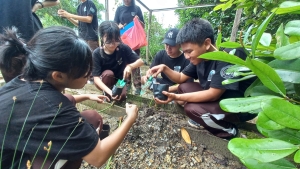 Field Trip Mangrove Batam