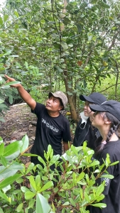 Field Trip Mangrove Batam