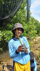 Field Trip Mangrove Batam