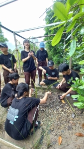 Field Trip Mangrove Batam