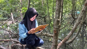 Field Trip Mangrove Batam