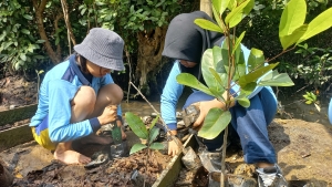 Field Trip Mangrove Batam