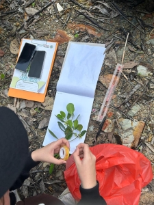 Field Trip Mangrove Batam