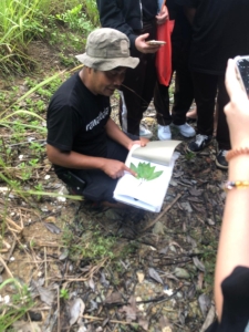 Field Trip Mangrove Batam