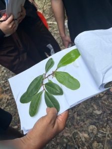 Field Trip Mangrove Batam