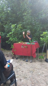 Field Trip Mangrove Batam